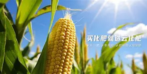 九游体育app-?~滴zif1|惁麁n尯??&amp;?橺gy(は和が一起使用)